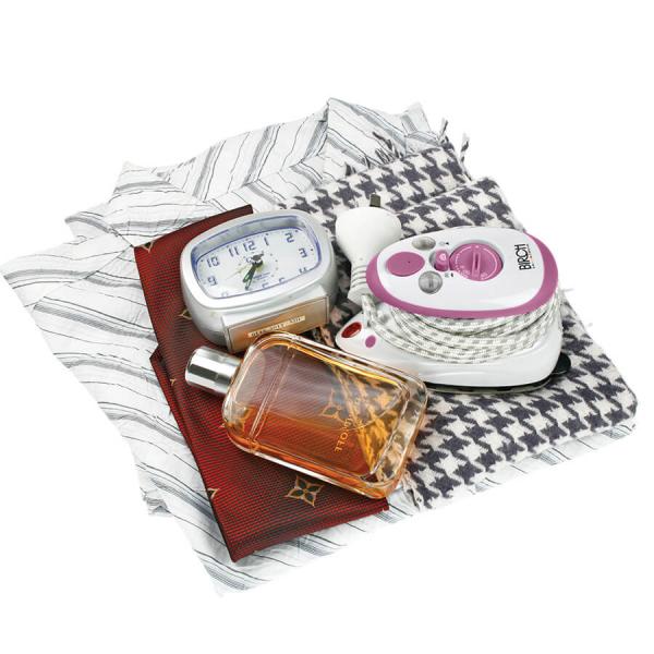 Mini Travel Steam Iron