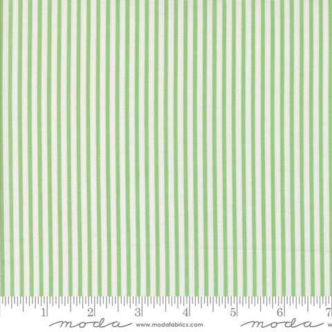 Summertime Stripe 55324 27