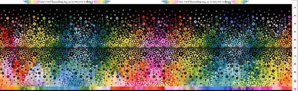 Felicity 1FEL-2