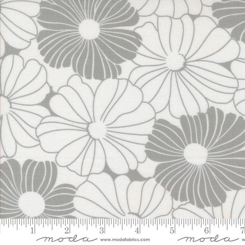 Color Crush 10880 11 Grey/White