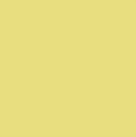 Colorworks Premium Solid - 734 Cornhusk