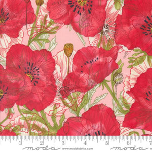 Superbloom - Pink Poppy