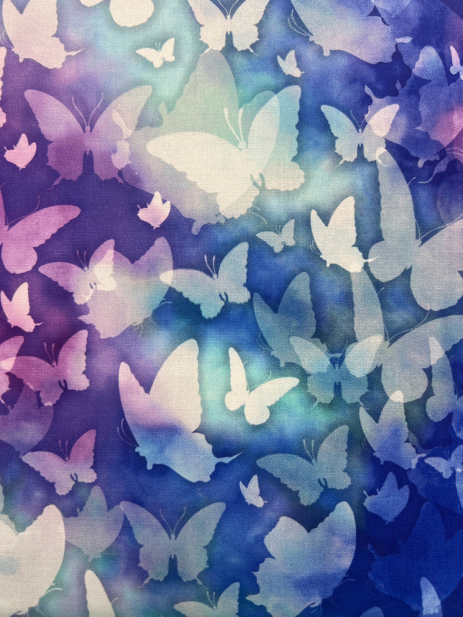 Butterfly Dreams - Winter