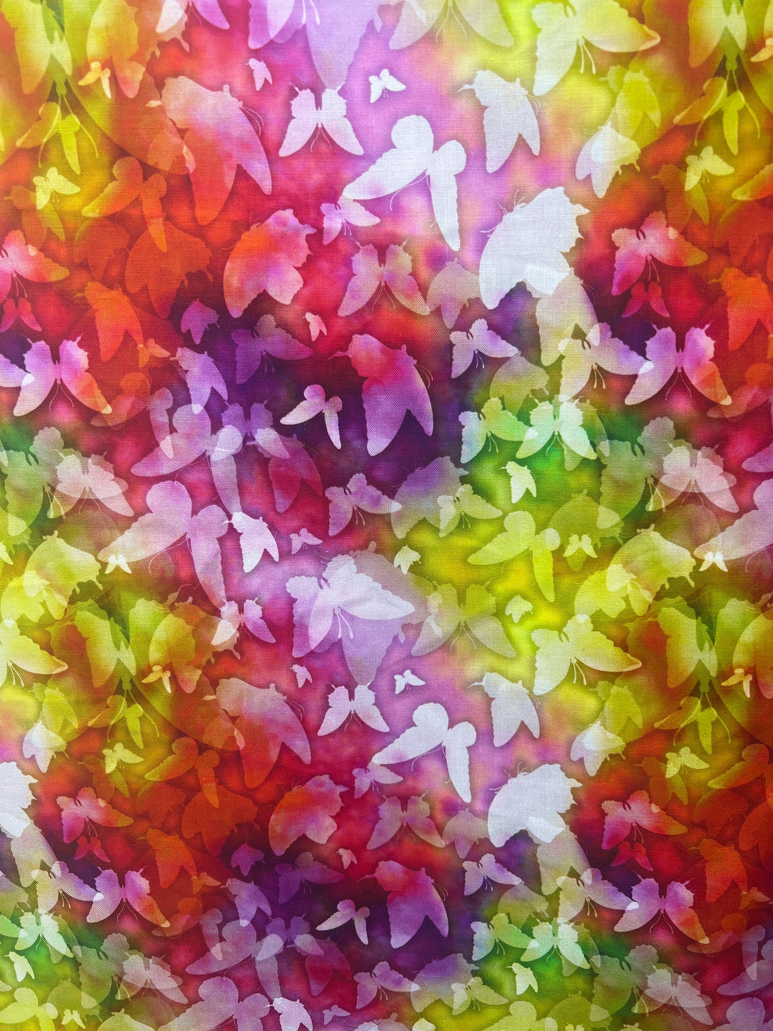 Butterfly Dreams Spring