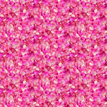 Rose Petals CD3146