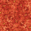 Imperial Blooms - Bloom CD4373