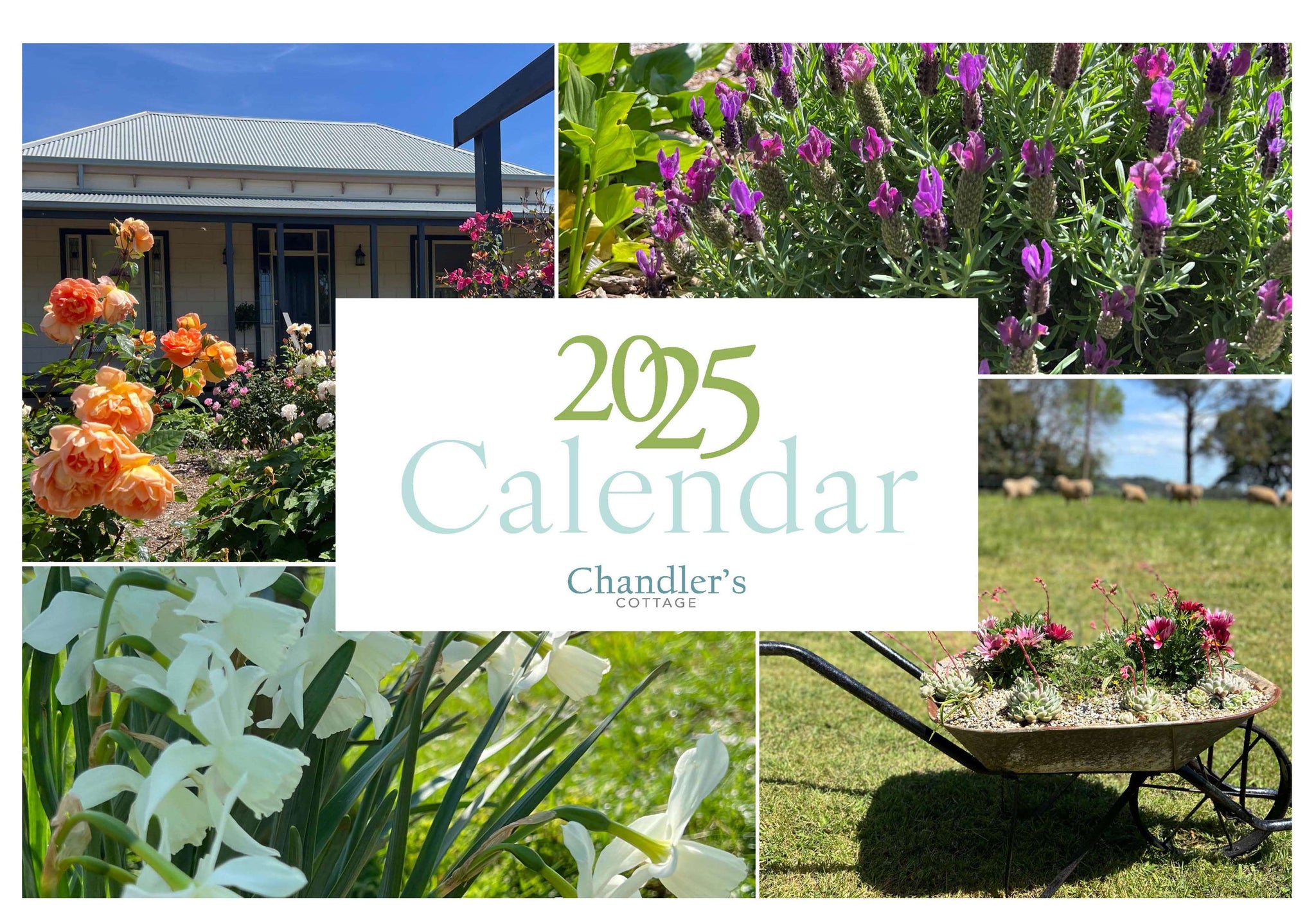 Chandlers Cottage 2025 Calendar - Calendar Only