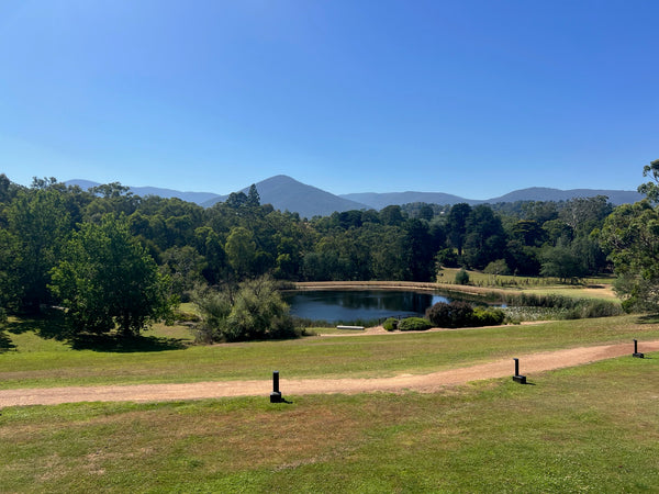 Night & Day Experience with Jason Yenter