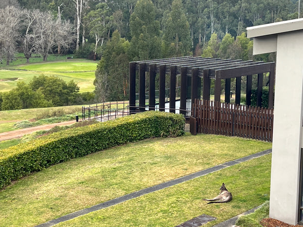 Night & Day Experience with Jason Yenter