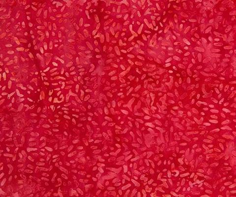 Banyan Ketan 81000 240