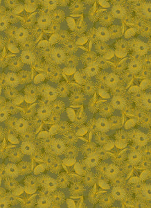 UTAS - Flowering Gum - Olive (0012-10)
