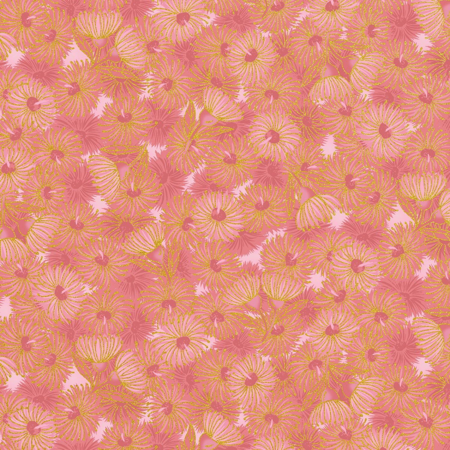UTAS - Flowering Gum - Pink (0012-26)