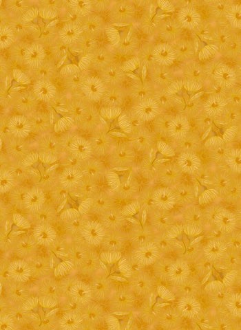 UTAS - Flowering Gum - Gold (0012-9)