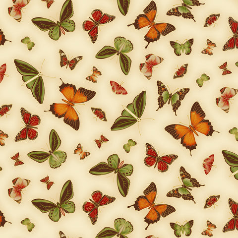 UTAS - Butterfly - Cream/Orange (0025-8)